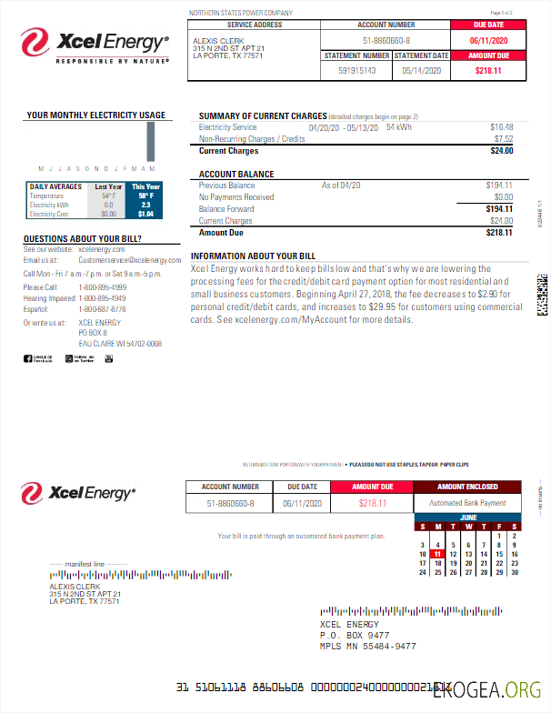 Usa Xcel energy utility bill word and pdf template